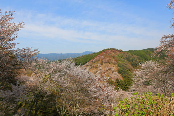 istock Yoshinoyama, Nara, Japan at the spring 667927558