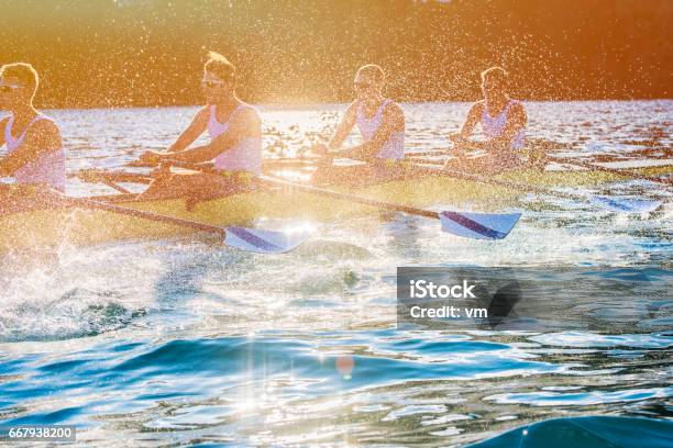 Four Men Rowing On A Lake Stock Photo - Download Image Now - Sport Rowing, Sports Team, Sport