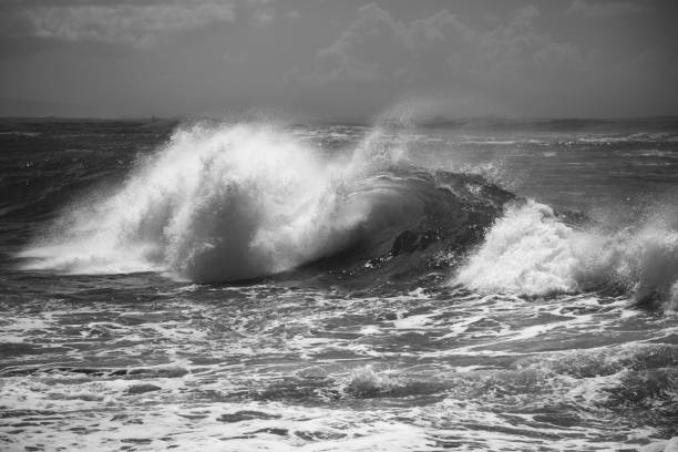 istock North Shore Oahu Wave in Black and White 667941062