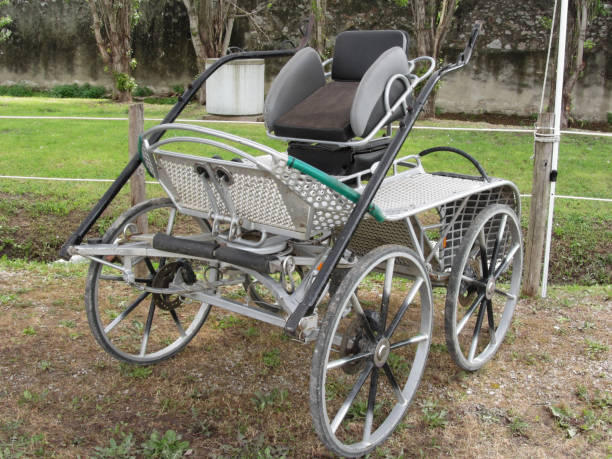 istock Old-fashioned horse carriage with green grass background 667942228