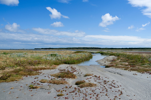 Little salt marsh island between Kringelroen and Hornfiskroen