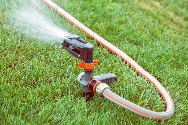 istock Garden lawn sprinkler in action 4 667977270