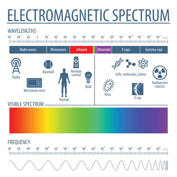 Electromagnetic Spectrum and Visible Light The spectrum of waves includes infrared rays, visible light, ultraviolet rays, and X-rays spectrum stock illustrations