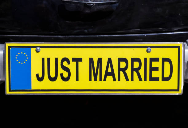 istock Just married euro license plate 667979796