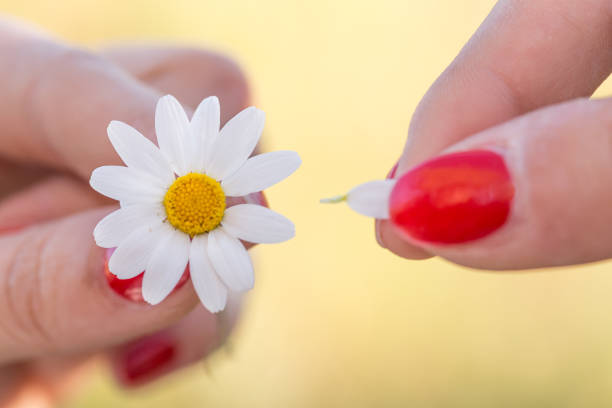 Prisoner with a daisy looking for freedom