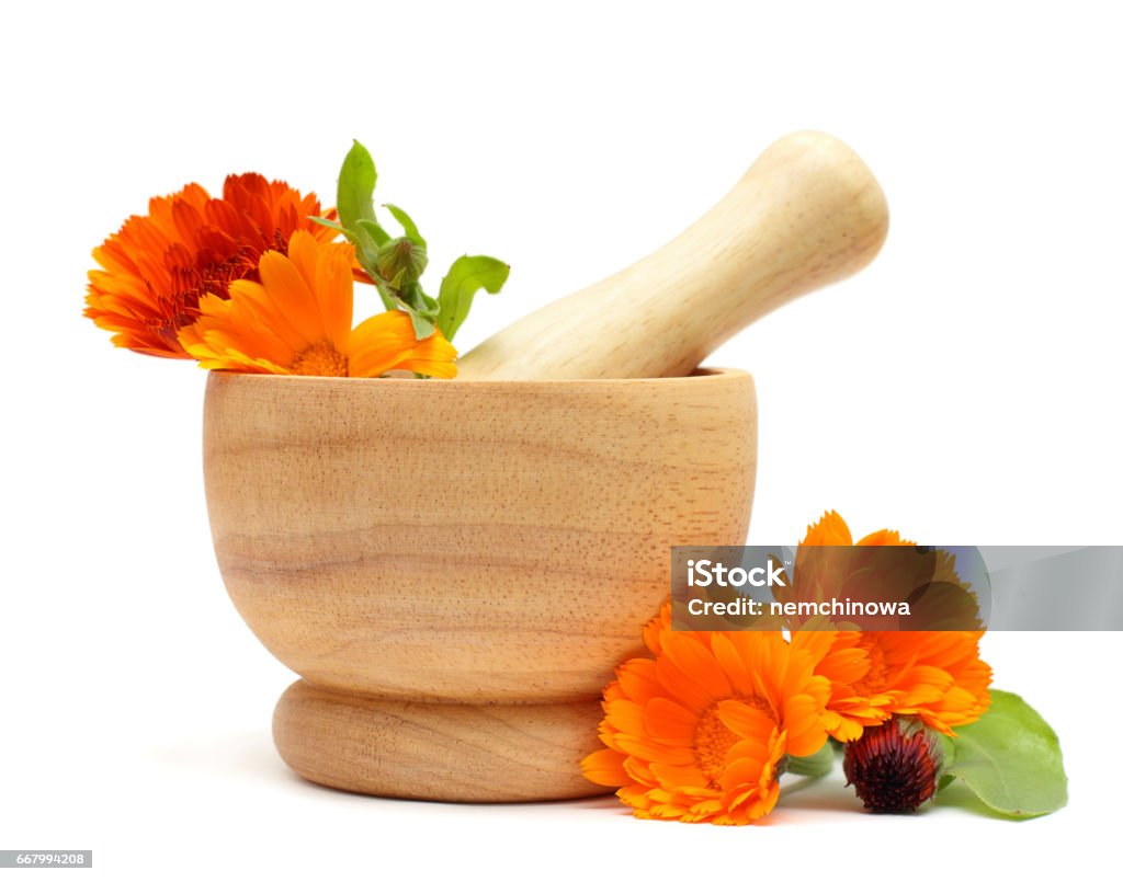 Alternative medicine and herbal treatment - Calendula flowers Alternative Lifestyle Stock Photo