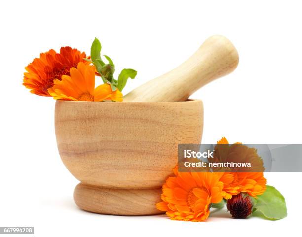 Alternative Medicine And Herbal Treatment Calendula Flowers Stock Photo - Download Image Now