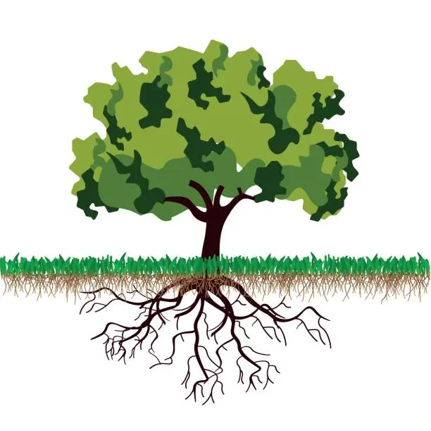 Vector illustration of Tree with roots