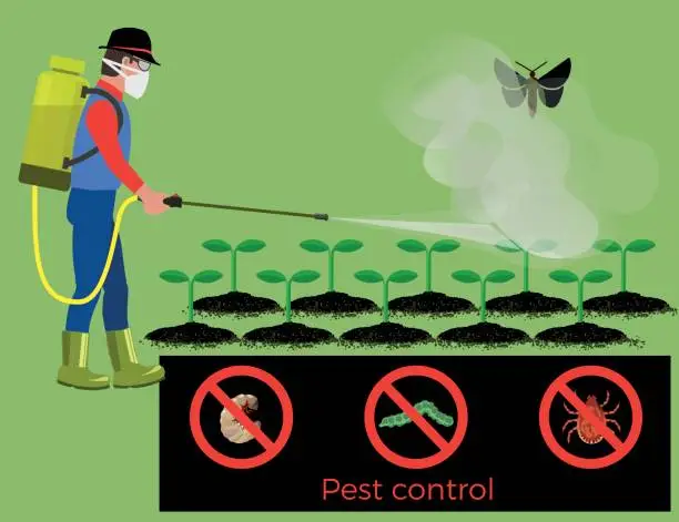 Vector illustration of Farmer sprays pesticide