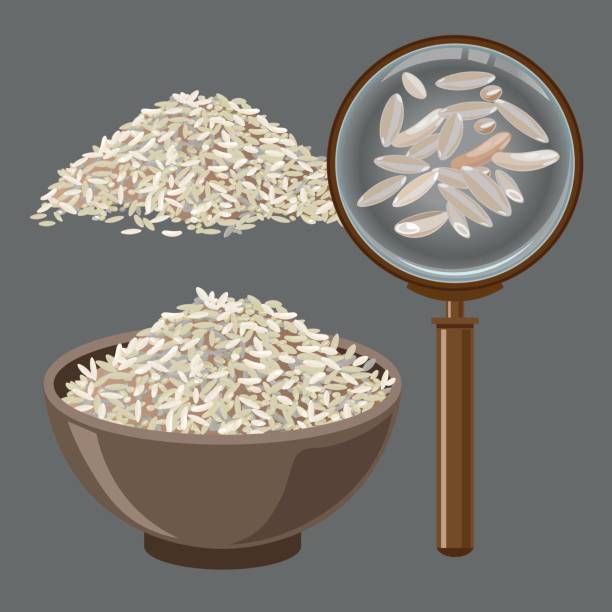 쌀과 돋보기 더미 - nutrient food state asian cuisine vegetarian food stock illustrations