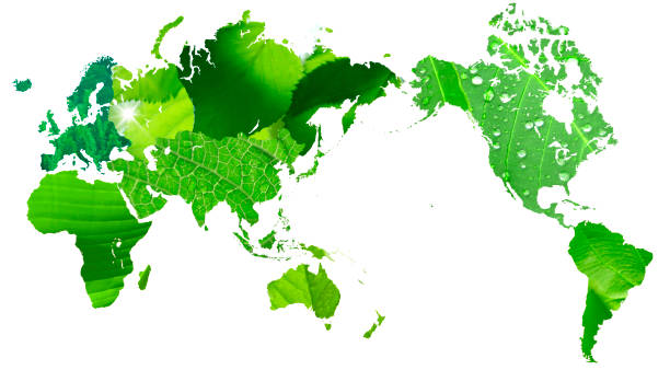 istock Map of the world leaves 668004558