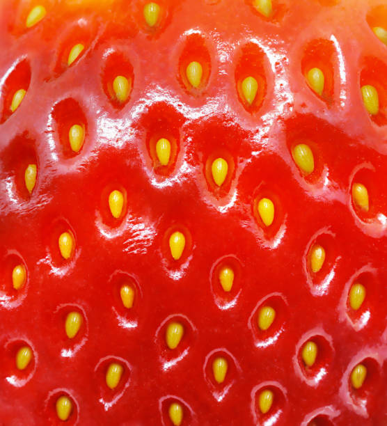 strawberry texture. macro shoot. - f04 imagens e fotografias de stock
