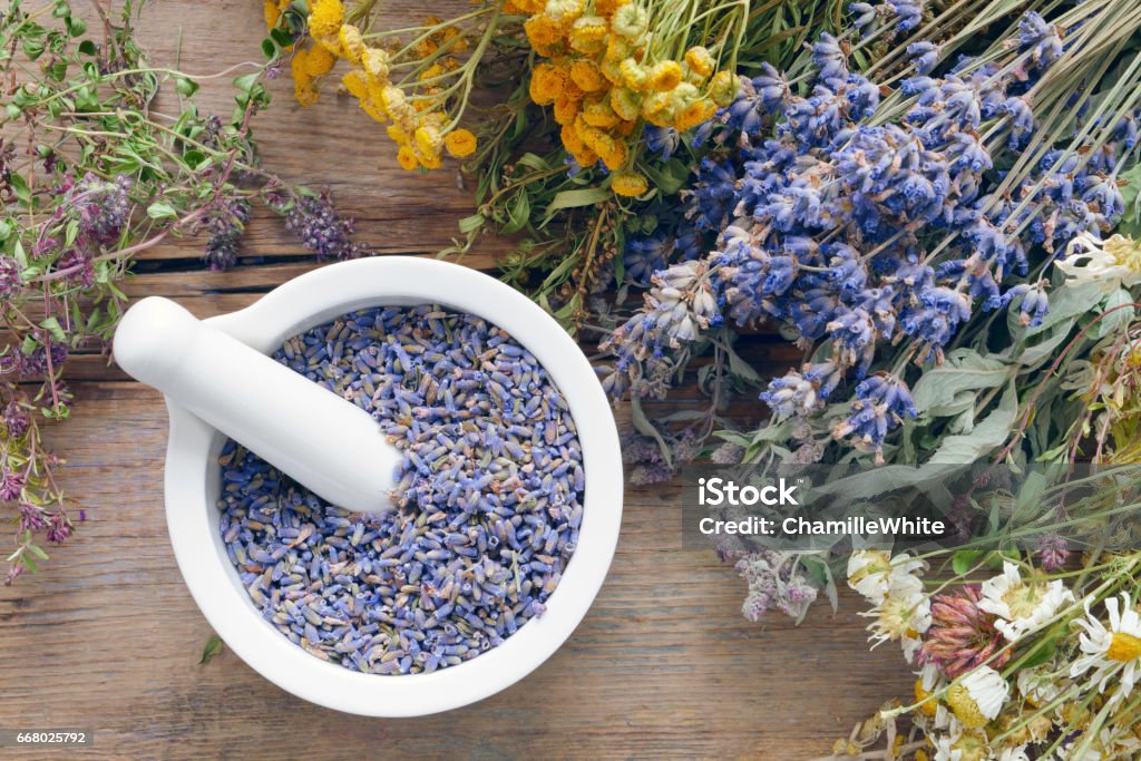 Medicinal herbs, mortar filled with healthy dry lavender flowers. Medicinal herbs, mortar filled with healthy dry lavender flowers on wooden table. Herbal medicine. Top view, flat lay. Alternative Medicine Stock Photo