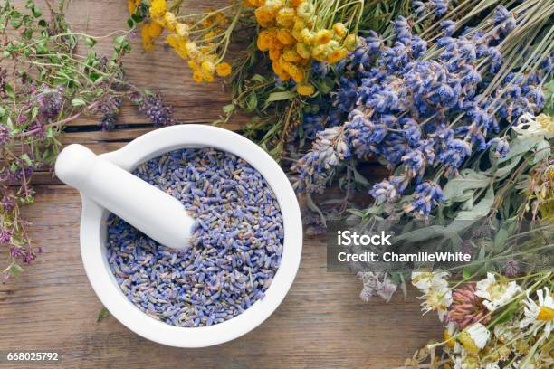 Medicinal Herbs Mortar Filled With Healthy Dry Lavender Flowers Stock Photo - Download Image Now