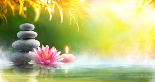 Spa - Relaxation With Massage Stones And Waterlily In Water Spa still life - Stack Of Stones With Candle and Lotus In Pond lotus water lily photos stock pictures, royalty-free photos & images