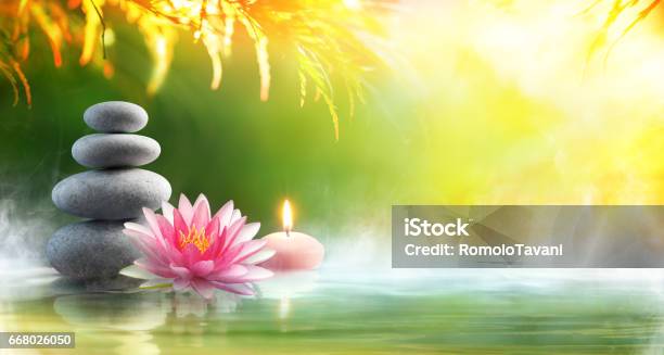 Spa Relaxation With Massage Stones And Waterlily In Water Stock Photo - Download Image Now