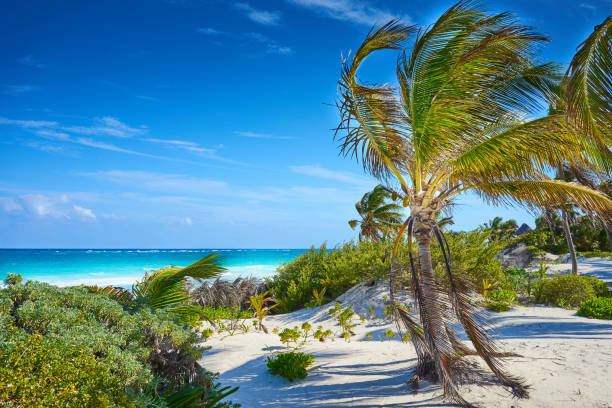 istock Tropical beach of Tulum in Mexico 668026736