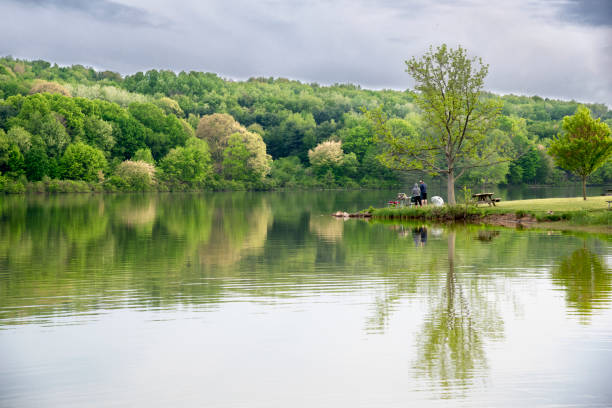 picnic near lake arthur. - moraine imagens e fotografias de stock