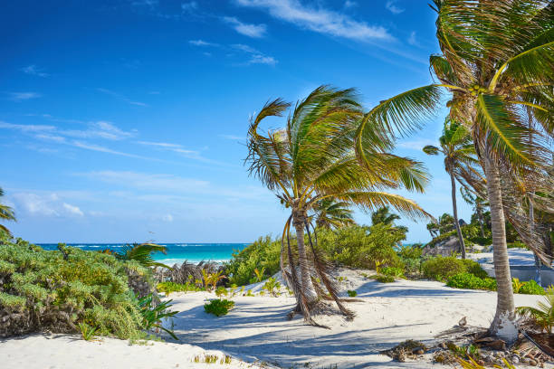 istock Tropical beach of Tulum in Mexico 668026840