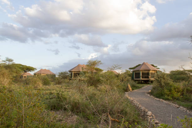 istock Luxury tented camp, Serengeit, Tanzania 668027112