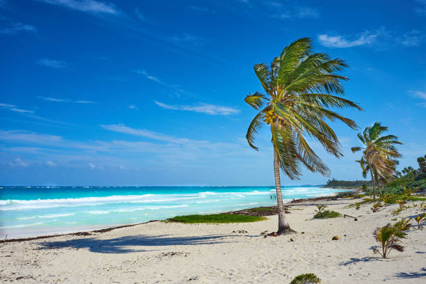 istock Tropical beach of Tulum in Mexico 668027140