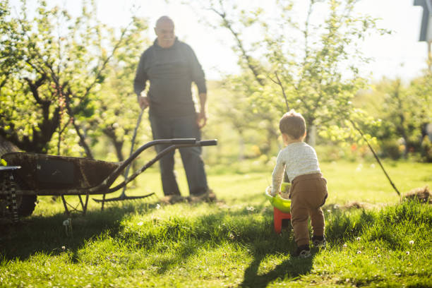 istock Grandfather and boy gardening the yard 668036262