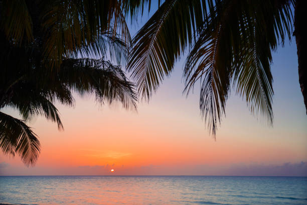 istock nice beautiful view of warm inviting sunset time at Cuban Cayo Coco island 668040566