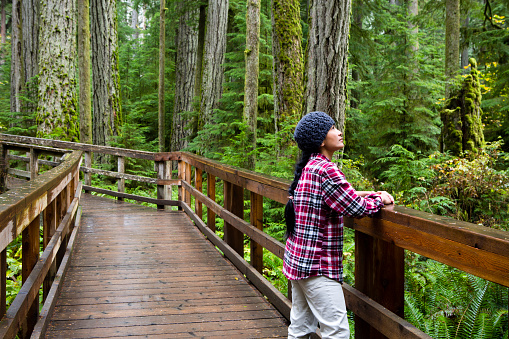 Young Asian woman tourist hiking in MacMillan Provincial Park, a provincial park near Port Alberni on Vancouver Island in British Columbia, Canada. The park is home to a famous, 157 hectare stand of ancient Douglas-fir, known as Cathedral Grove.
