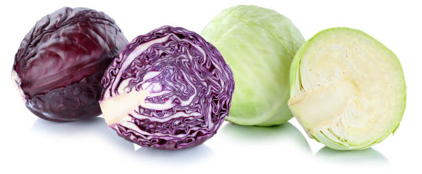 cavolo bianco e rosso affettato vegetale fresco isolato - green cabbage foto e immagini stock