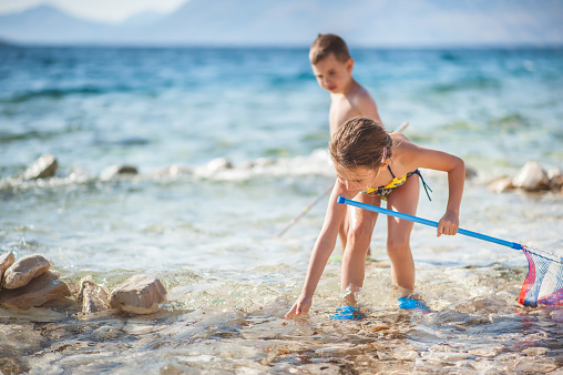 Children Exploring Sea With The Fishing Net