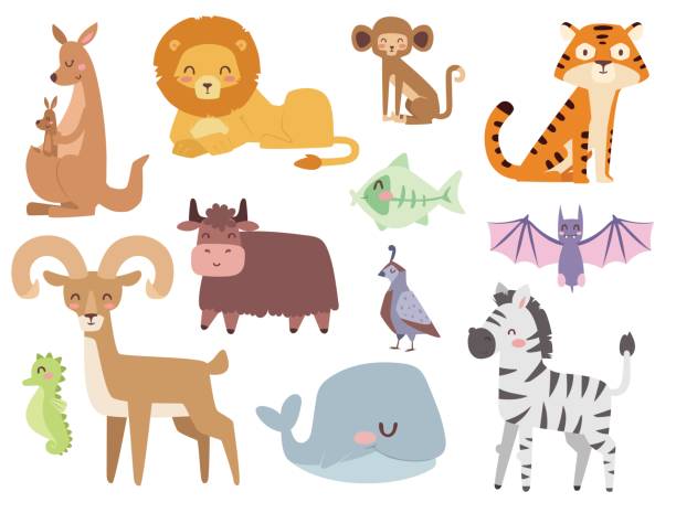 ilustrações, clipart, desenhos animados e ícones de zoo bonito dos desenhos animados animais isolados engraçado animais selvagens aprender língua bonita e natureza tropical safári mamífero selva alta personagens vetoriais ilustração - kangaroo animal humor fun