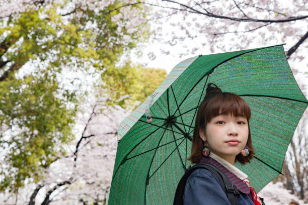 istock Woman under colorful cherry tree 668061034