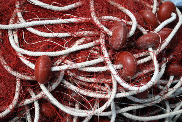 istock The fisherman's tool 668061356