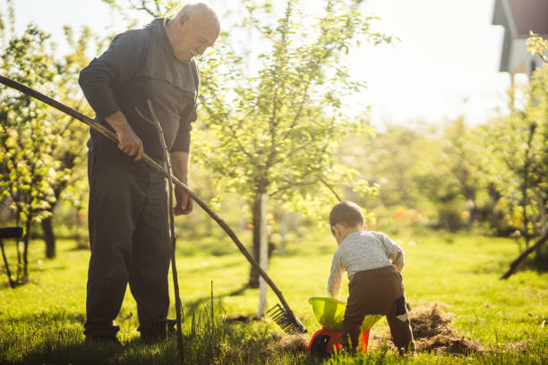 istock Cleaning the lawn 668067858