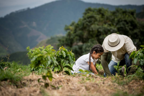 father planting a tree with his daughter at the farm - farm worker imagens e fotografias de stock