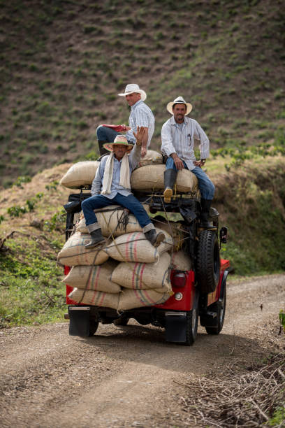 Men transporting sacks of coffee in a car