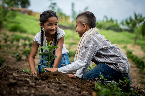 Latin American children planting a tree at the farm and looking very happy - rural scene concepts