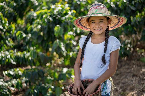Beautiful Latin American girl working at a coffee farm collecting coffee beans and looking at the camera smiling
