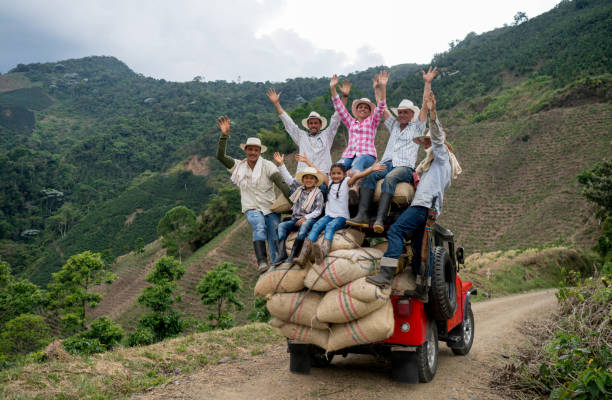 istock Happy group of farmers transporting coffee on a car 668076800