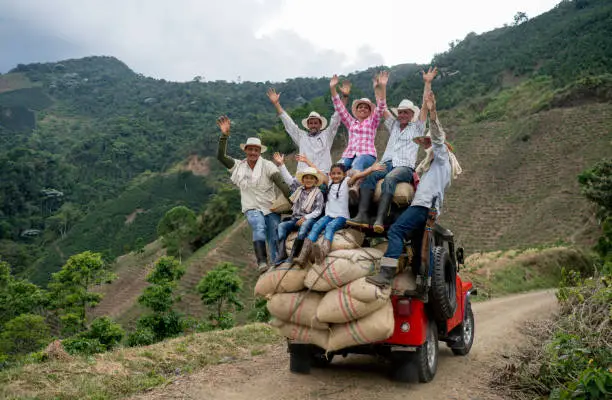 Group of happy Colombian farmers transporting coffee on a car and looking at the camera with arms up (Car model is 1954)