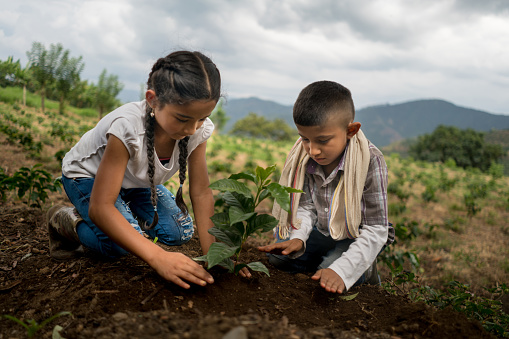 Happy Latin American children outdoors planting a tree at the farm - agriculture concepts