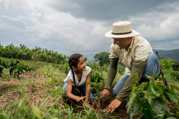 ragazza che pianta un albero con suo padre alla fattoria - farmer farm family son foto e immagini stock