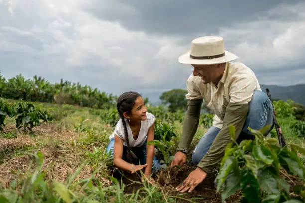 Happy Latin American girl planting a tree with her father at the farm - agriculture concepts