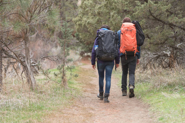 istock Good friends out on a backpacking adventure together 668076936