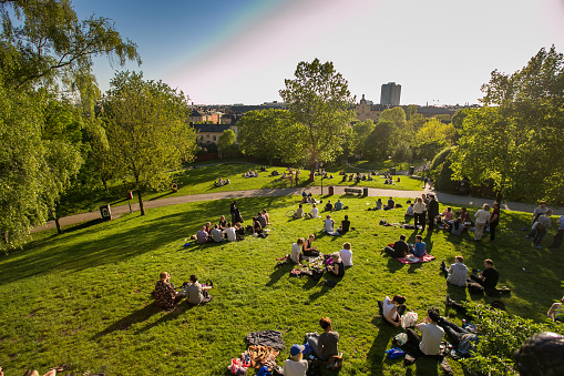 the rest of the people in Sweden are in Stockholm, center city, evening, green grass in the Park, picnic