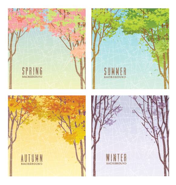 set of backgrounds illustrating the 4 seasons with trees and foliage set of vector backgrounds illustrating the 4 seasons with trees and foliage. Space for your text. dogwood trees stock illustrations