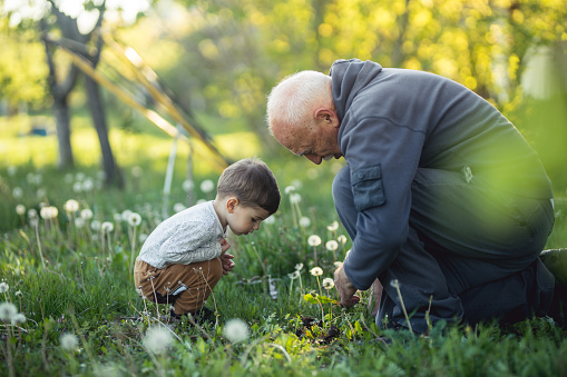 Grandfather and baby boy looking at the green grass on the beautiful spring day