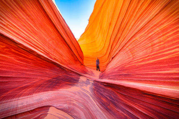 die welle-wanderung - zion narrows stock-fotos und bilder