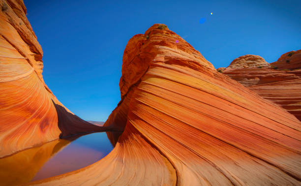 die welle-wanderung - zion narrows stock-fotos und bilder