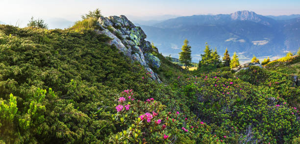 istock Land of mountains 668148538